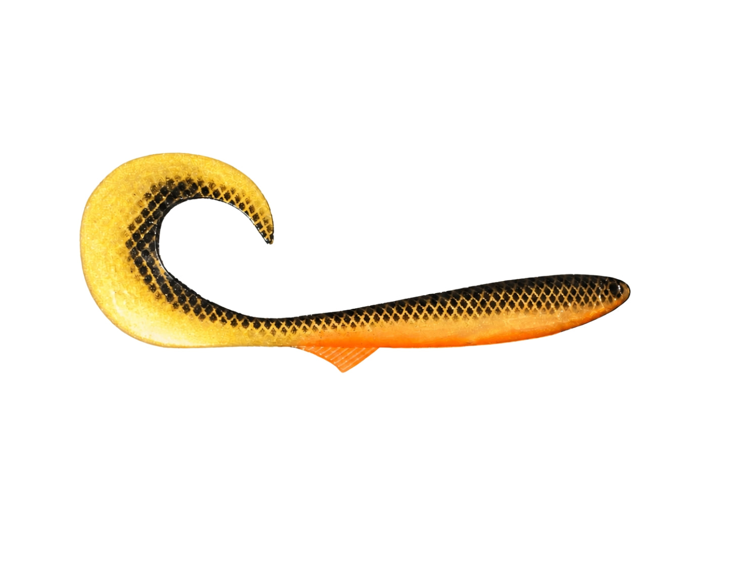 Curly Tail 17.5cm