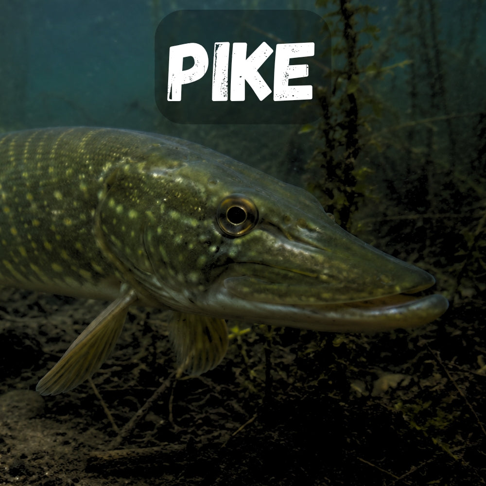 PIKE LURES