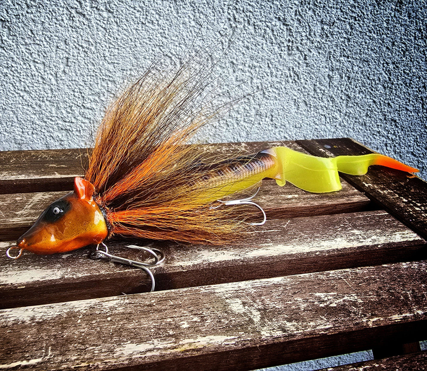 Rattus